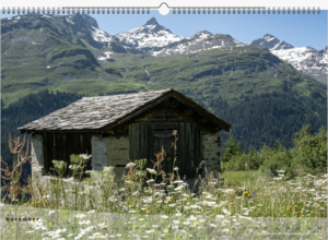 Bergweh, Kalender, Almbaden, Monatskalender, Alpenkalender, Almwiesenkalender, Blumenkalender