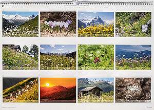 Bergweh, Almbaden, Monatskalender, Kalender, Alpenkalender, Almwiesenkalender, Blumenkalender
