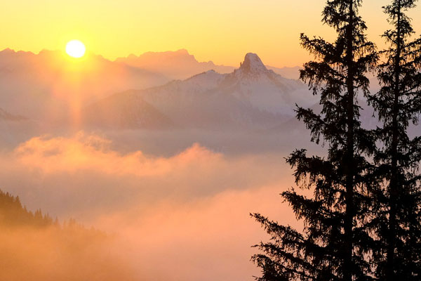 Stand Art Barbara Esser