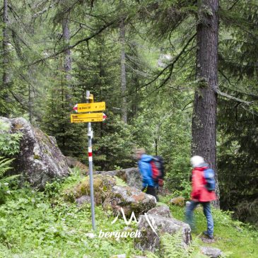 Was dich beim Bergweh-Blog erwartet
